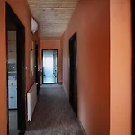 Alexandr *