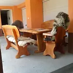 Alexandr