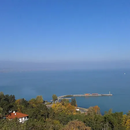 Alexandr Alsópáhok