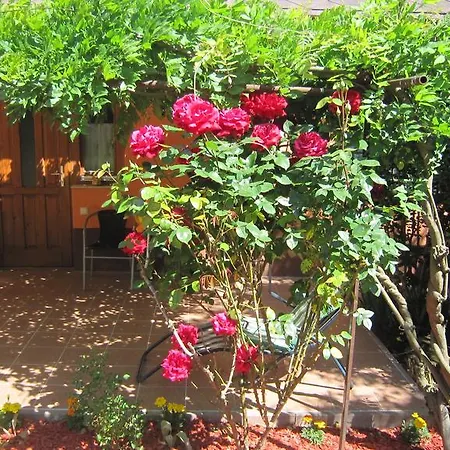 Apartamento Alexandr