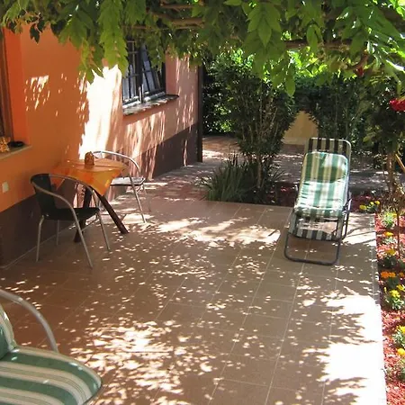 Alexandr Apartamento *